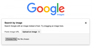 google reverse image search engine