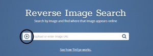 Tineye search engine 
